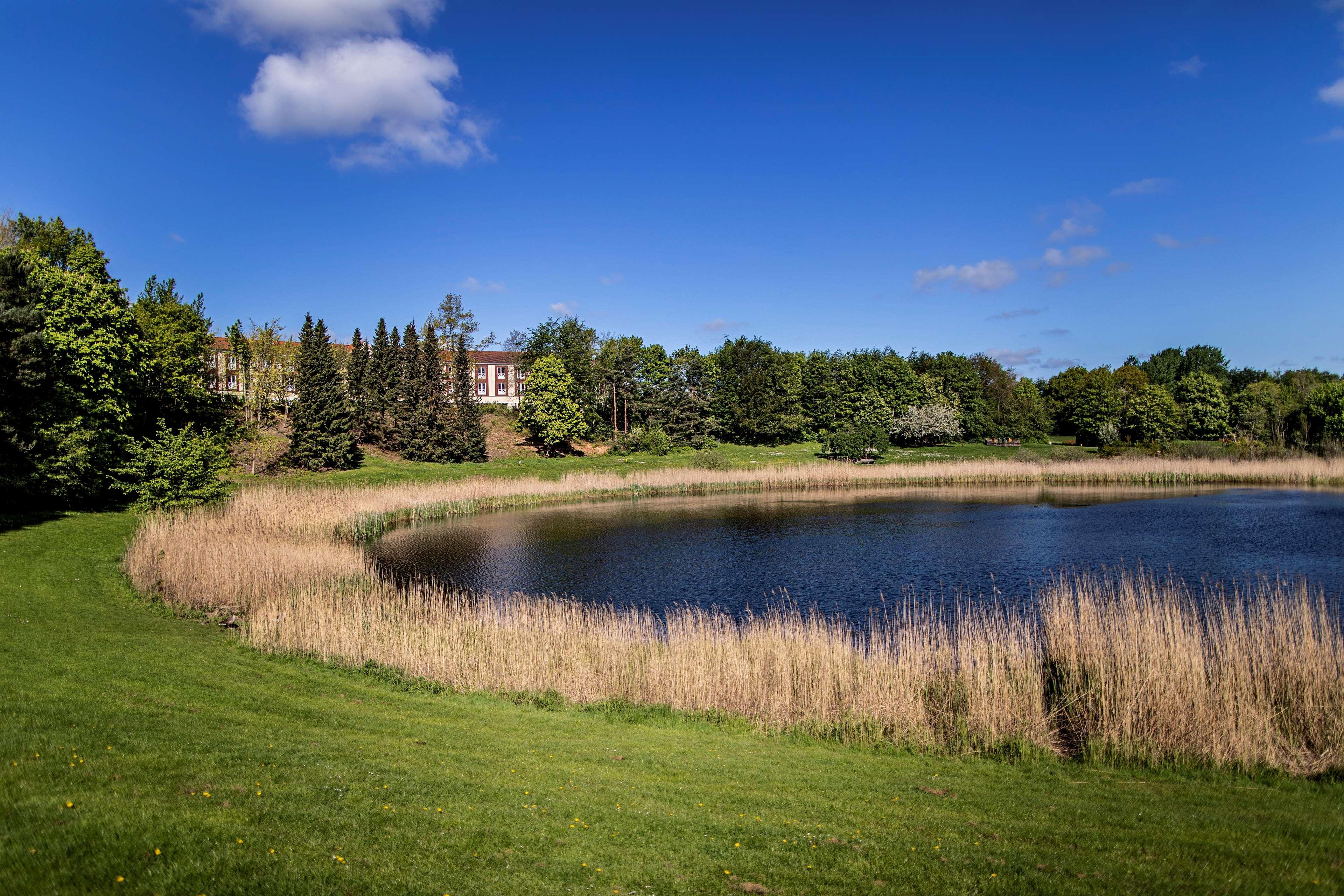 Scandic Roskilde Park Εξωτερικό φωτογραφία